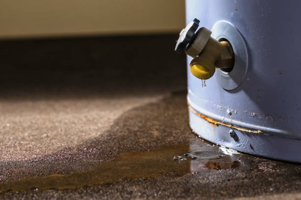 Best Water damage restoration process  in Guyton, GA