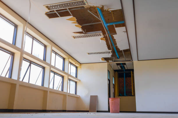 Best Water damage contractors near me  in Guyton, GA