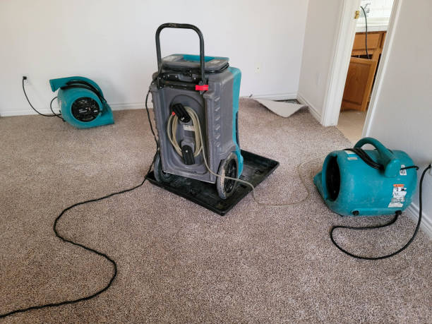 Best Commercial water damage restoration  in Guyton, GA