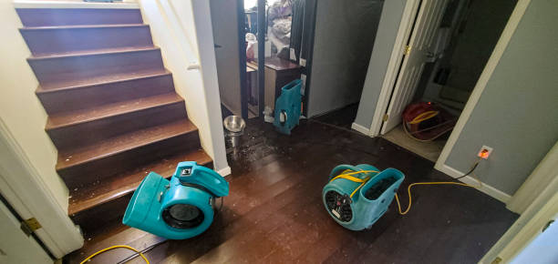 Best Sewage cleanup and water damage restoration  in Guyton, GA