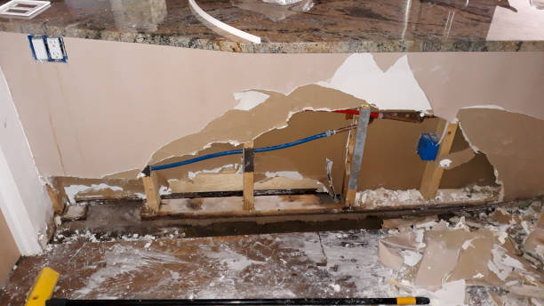 Best Flood damage cleanup  in Guyton, GA