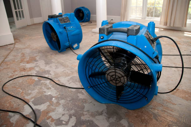 Best Professional water damage repair  in Guyton, GA