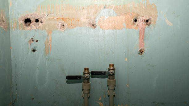 Best Flood damage cleanup  in Guyton, GA