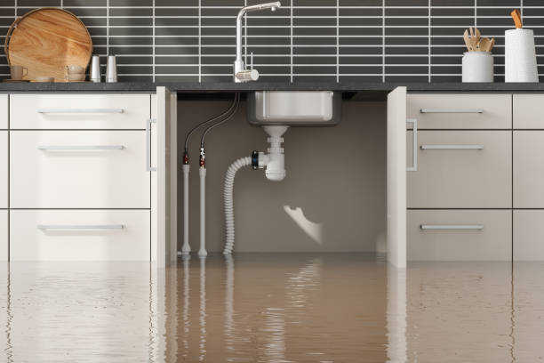 Best Emergency water extraction  in Guyton, GA