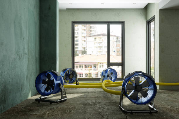 Best Fire Damage Restoration  in Guyton, GA