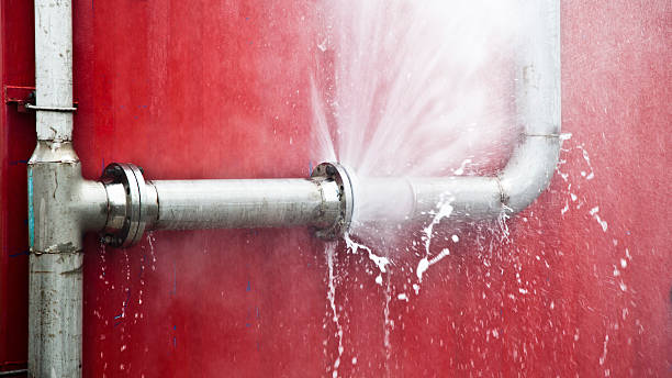 Best 24-hour water damage restoration  in Guyton, GA